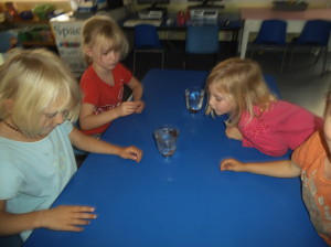 A group of students watching what is happening to the raisins in water.